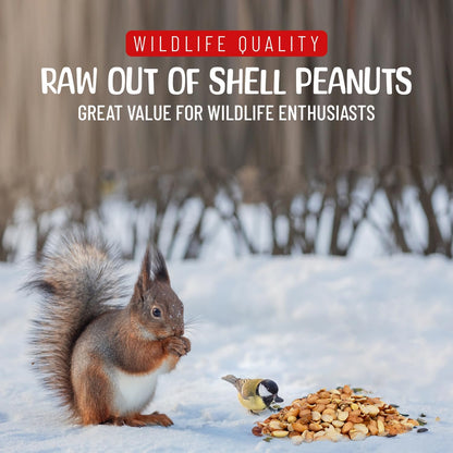 Premium Quality Raw Out of Shell Peanuts - 8 Pound - Shelled Peanuts for Birds – Wildlife Quality