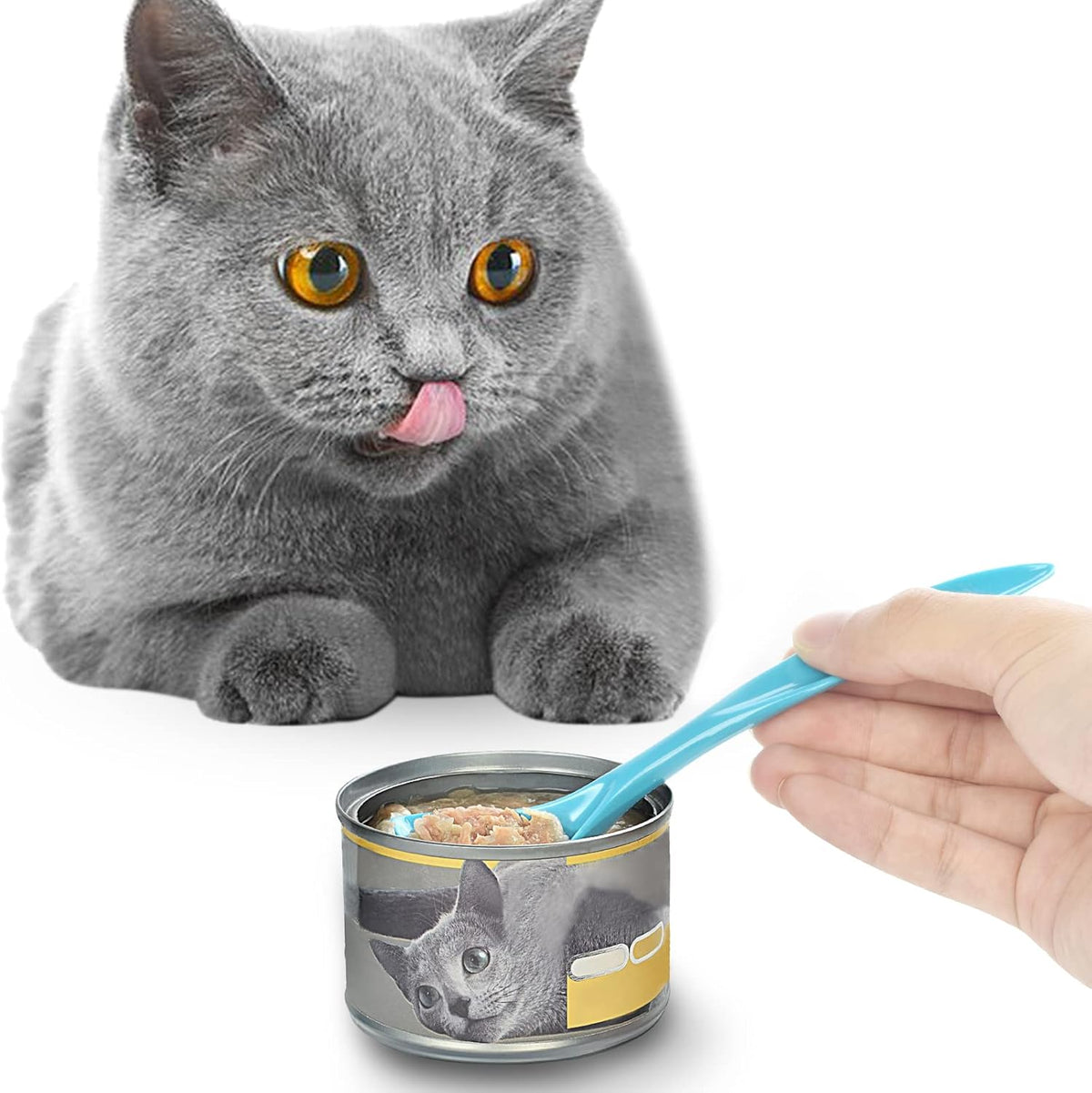 PetBonus 3-Pack Pet Food Can Spoon, Dog Cat Food Spoons, Long Handle Special Curved Design