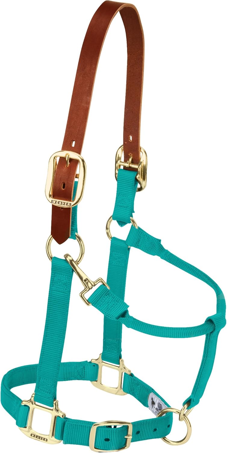 Weaver Equine Nylon Horse Halter, Triple-Ply Cheek Design, Original Non Adjustable Halters for
