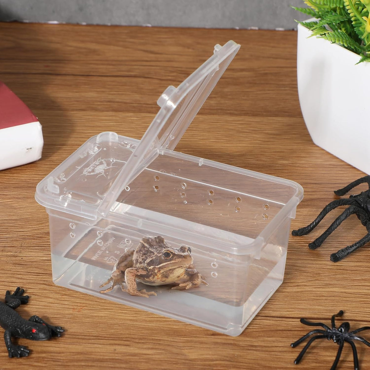 Irenare 8 Pcs Reptile Breeding Breeding Box Plastic Spider Terrarium Tarantula Feeding Box for