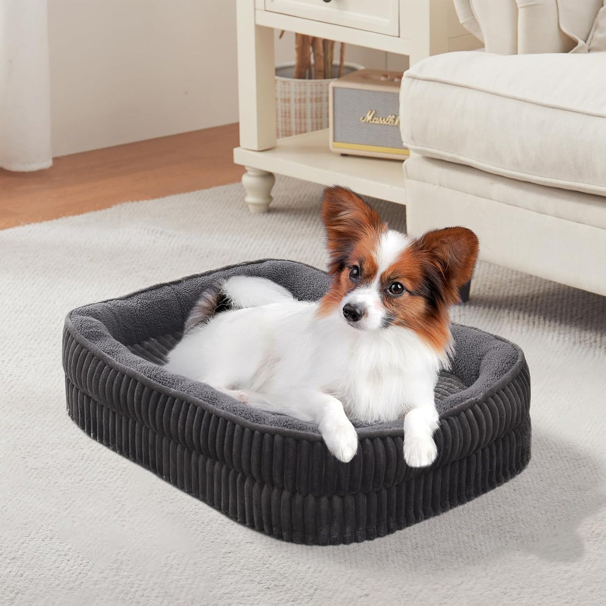 Orthopedic Dog Bed for Puppy,Extra Small Dogs Breeds,Oval Cat Bed,High Density Egg Crate Foam Dog