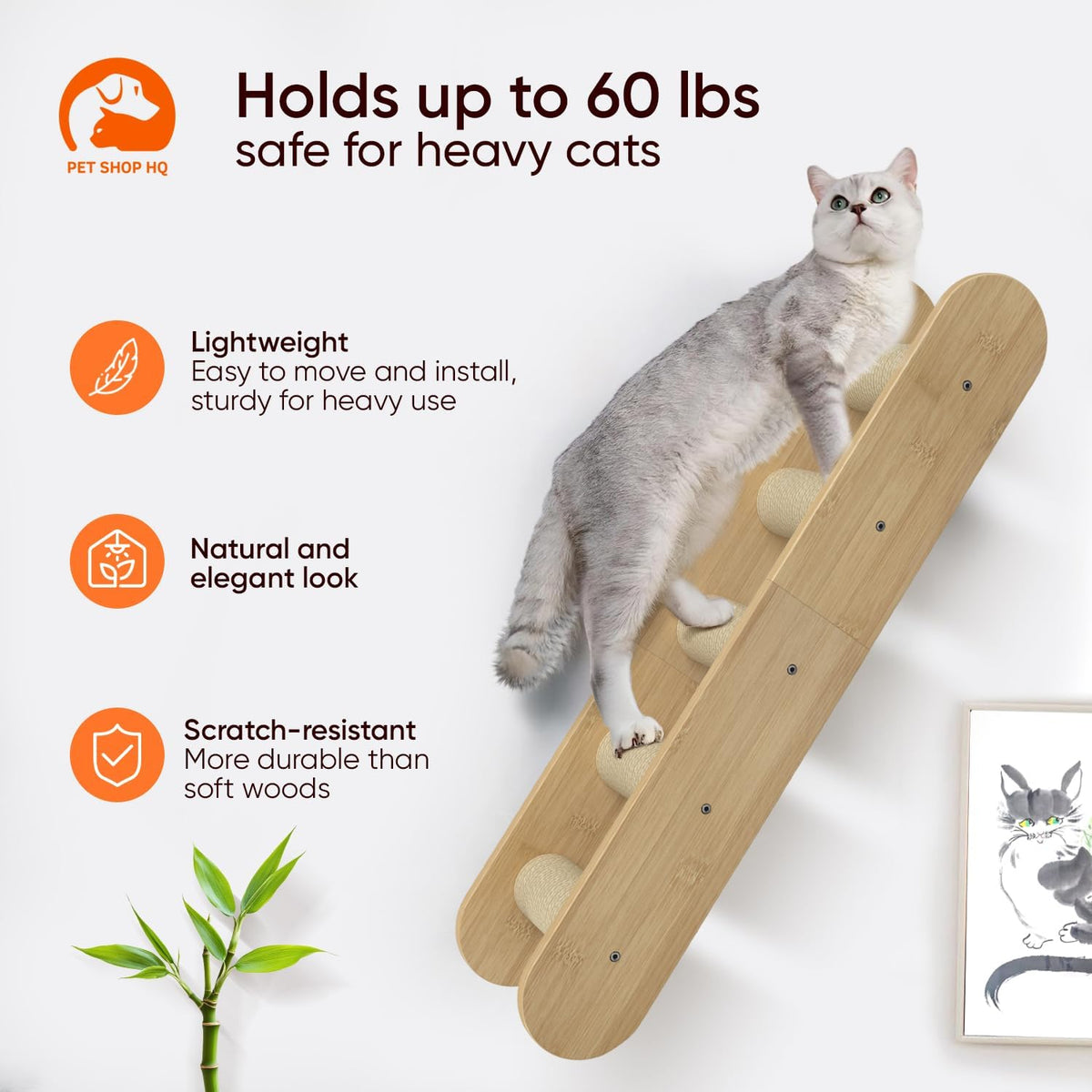 Wall-Mounted Cat Furniture for Climbing - Indoor Wooden Floating Shelves, Perches, Hammock, Bed