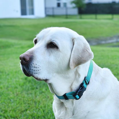 Dogline Biothane Waterproof Dog Collar with Quick Release Buckle Strong Coated Nylon Webbing with