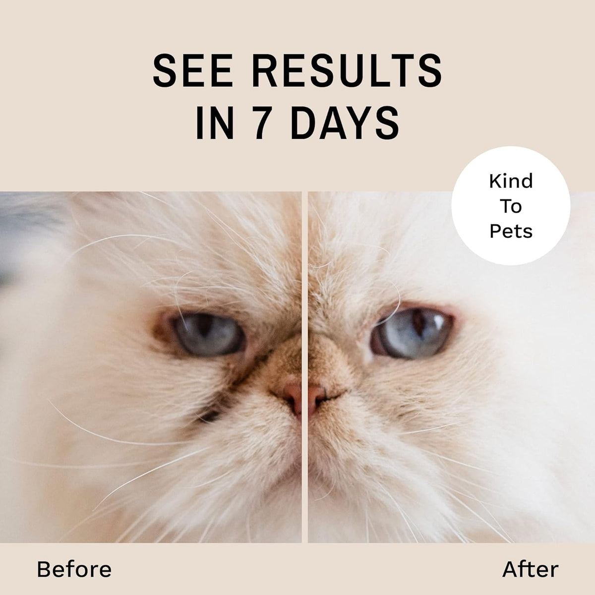 Eye Envy Tear Stain Remover Powder for Dogs and Cats. 100% Natural, Safe. Apply Around Eyes.