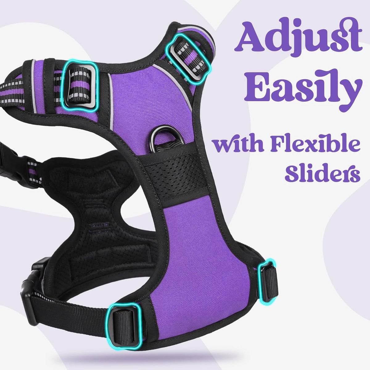 rabbitgoo Dog Harness Small Sized, No Pull Pet Harness with 3 Buckles, Adjustable Soft Padded Vest