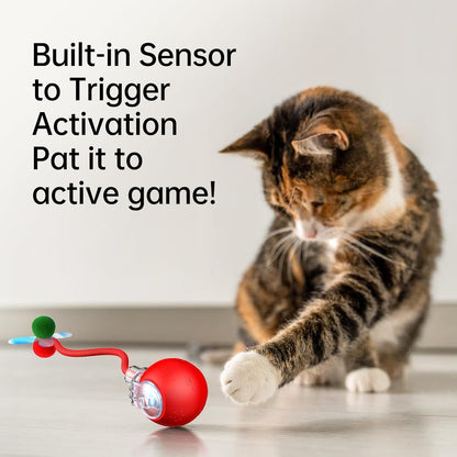 Interactive Cat Toys for Indoor Cats - Kitten Toy with Speedy Tail 2.0, Automatic Cat Toys for