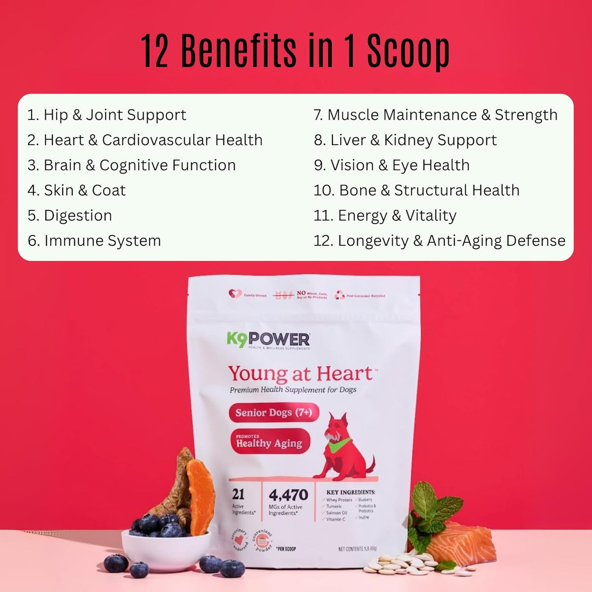 K9 Power Young at Heart Senior Dog Multivitamin 1 lb – Advanced Supplement for Seniors – Supports