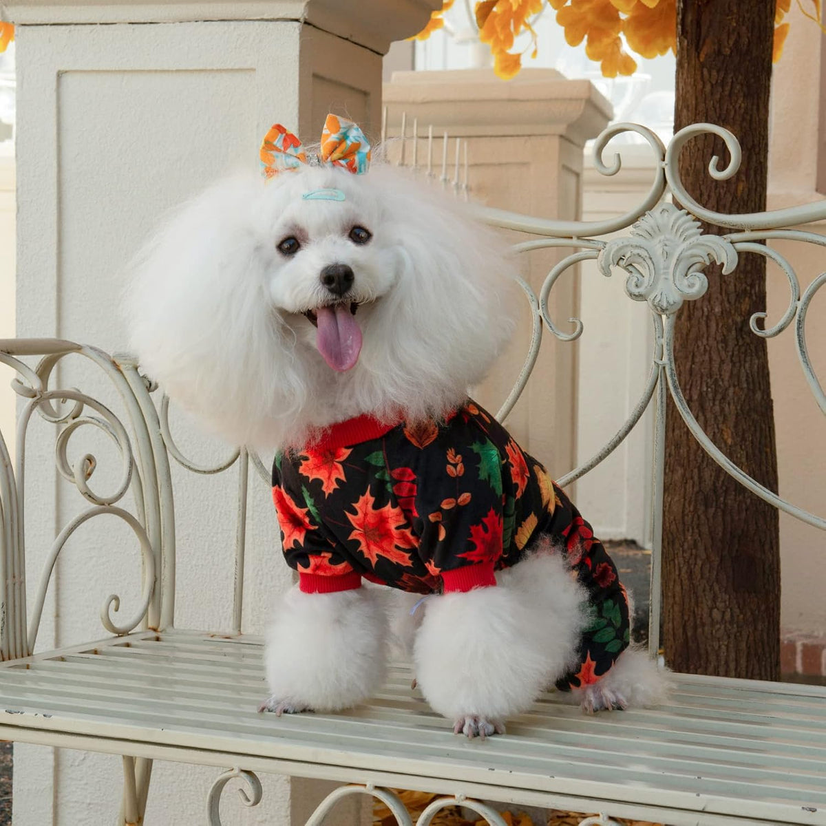 CuteBone Dog Halloween Pajamas Puppy Onesies Small Dogs Soft Pjs Coat Cat Apparel Comfy Pet