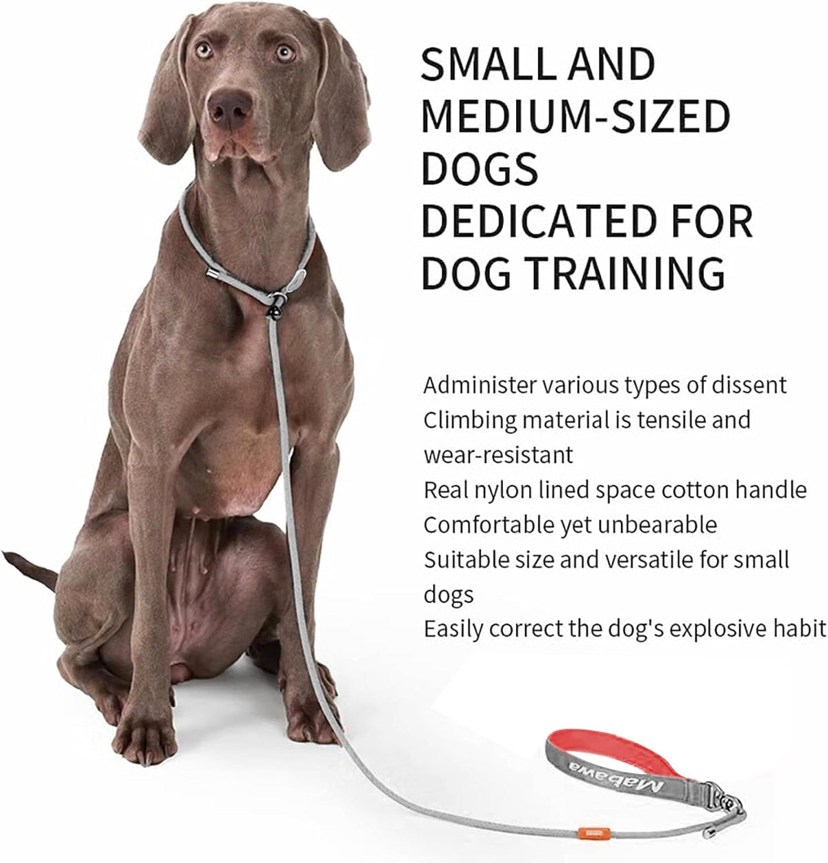 Dog Anti-Slip Leash 5FT with Metal Stopper - Durable No-Pull Training Lead for Small, Medium &