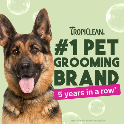 TropiClean No Rinse Waterless Dog Shampoo | Detangling and Deodorizing Dry Shampoo for Smelly Pets