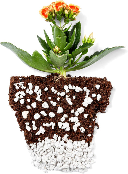 Perlite Bliss (16 Qts) - Organic Perlite for Plants - Coarse Perlite Bulk Soil Amendment - Chunky