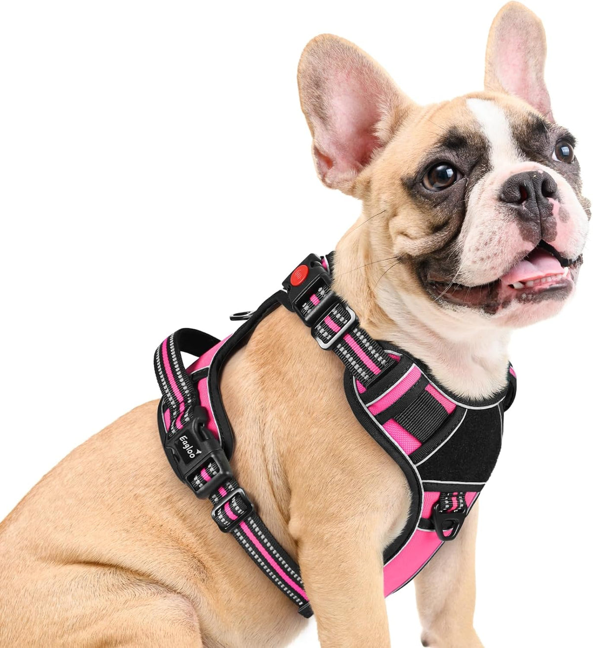 Eagloo Dog Harness Medium Sized, Easy Wearing with 3 Buckles, Adjustable No Pull Pet Harness with 2