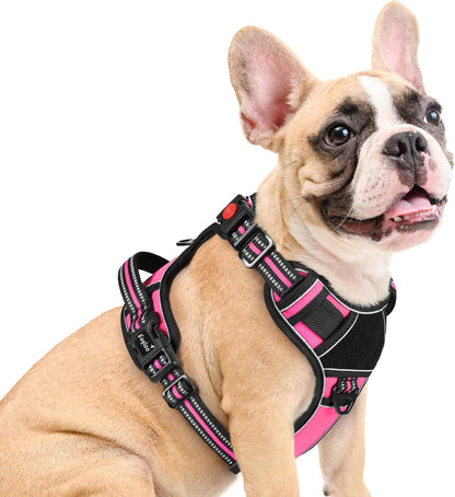 Eagloo Dog Harness Medium Sized, Easy Wearing with 3 Buckles, Adjustable No Pull Pet Harness with 2
