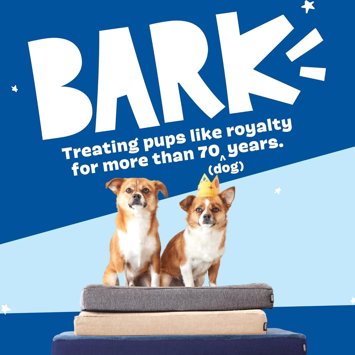 Barkbox Orthopedic Dog Bed with Memory Foam, Premium Comfort for Dogs and Puppies, Large Sized Dog