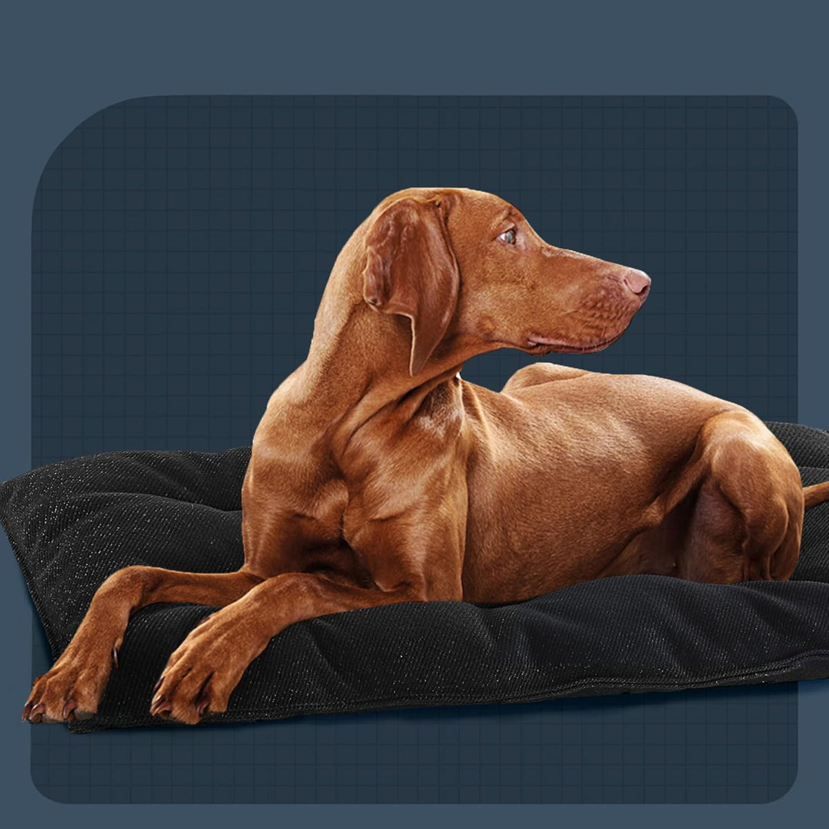 MABOZOO Dog Bed, Indestructible Chew Proof Pet Bed Mat, Durable Polyester, Large 35x22 inches