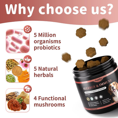 Dog Allergy Chews, Probiotics for Dog Allergy Relief - Itchy Skin and Itchy Ears - Allergy Paw