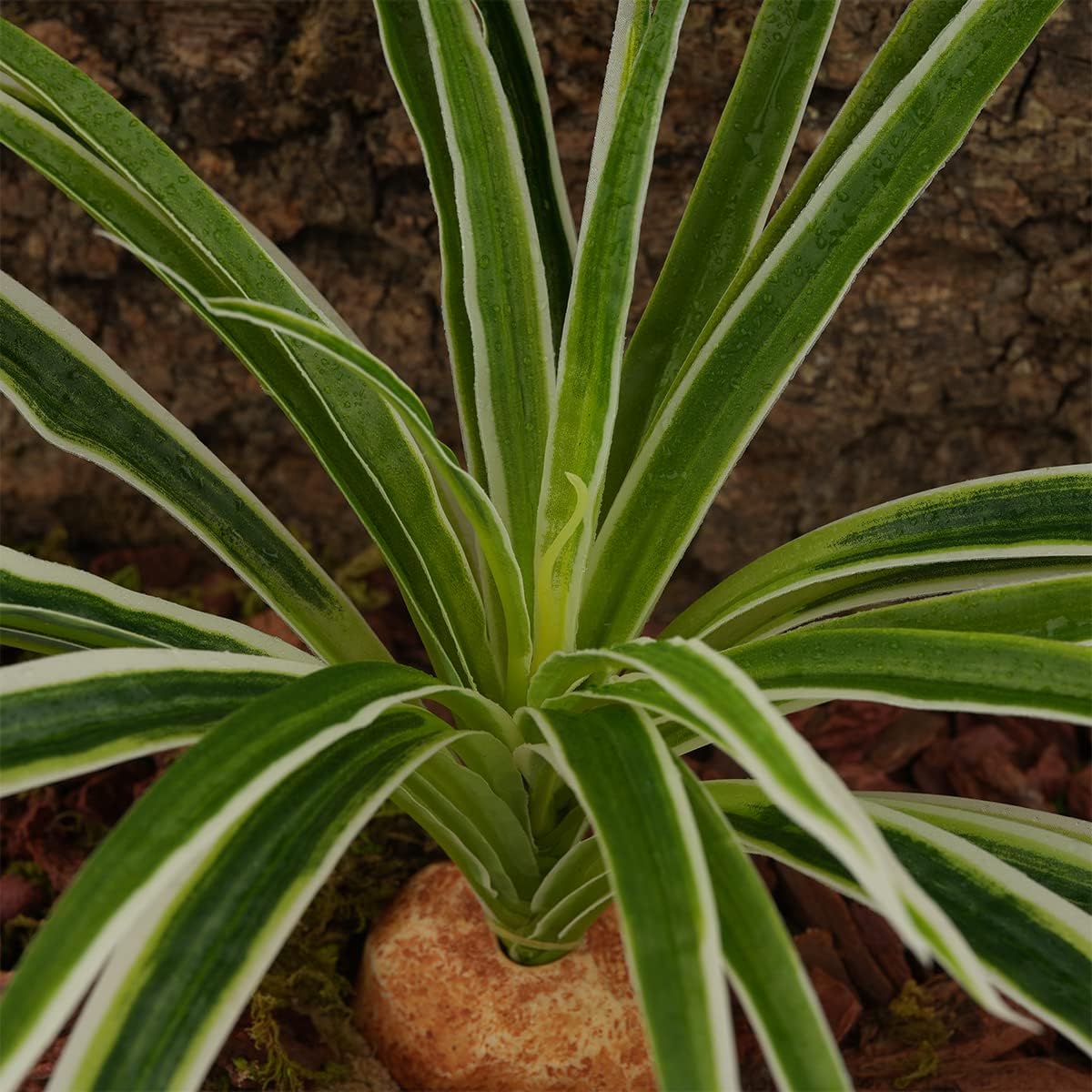 Artificial Spider Plants, Reptile Terrarium Decor, Bearded Dragon Tank Accessories fit Crested