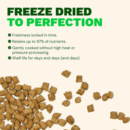 Get Joy Gut Health Fresh Freeze Dried Raw Meal, Beef Recipe, 16 Ounce Bag, Dog Food for Dogs of All