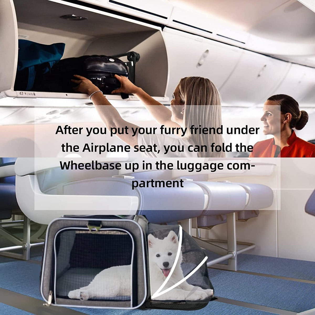 Airline Approved Expandable Premium Pet Carrier on Wheels- Two Sided Expandable Rolling Carrier