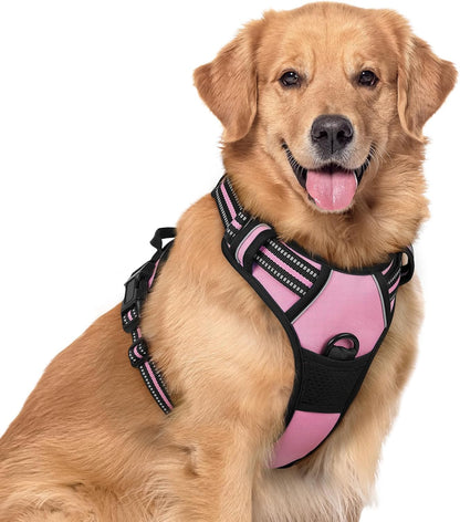 rabbitgoo Dog Harness No Pull with 2 Leash Clips, Adjustable Soft Padded, Reflective Oxford No