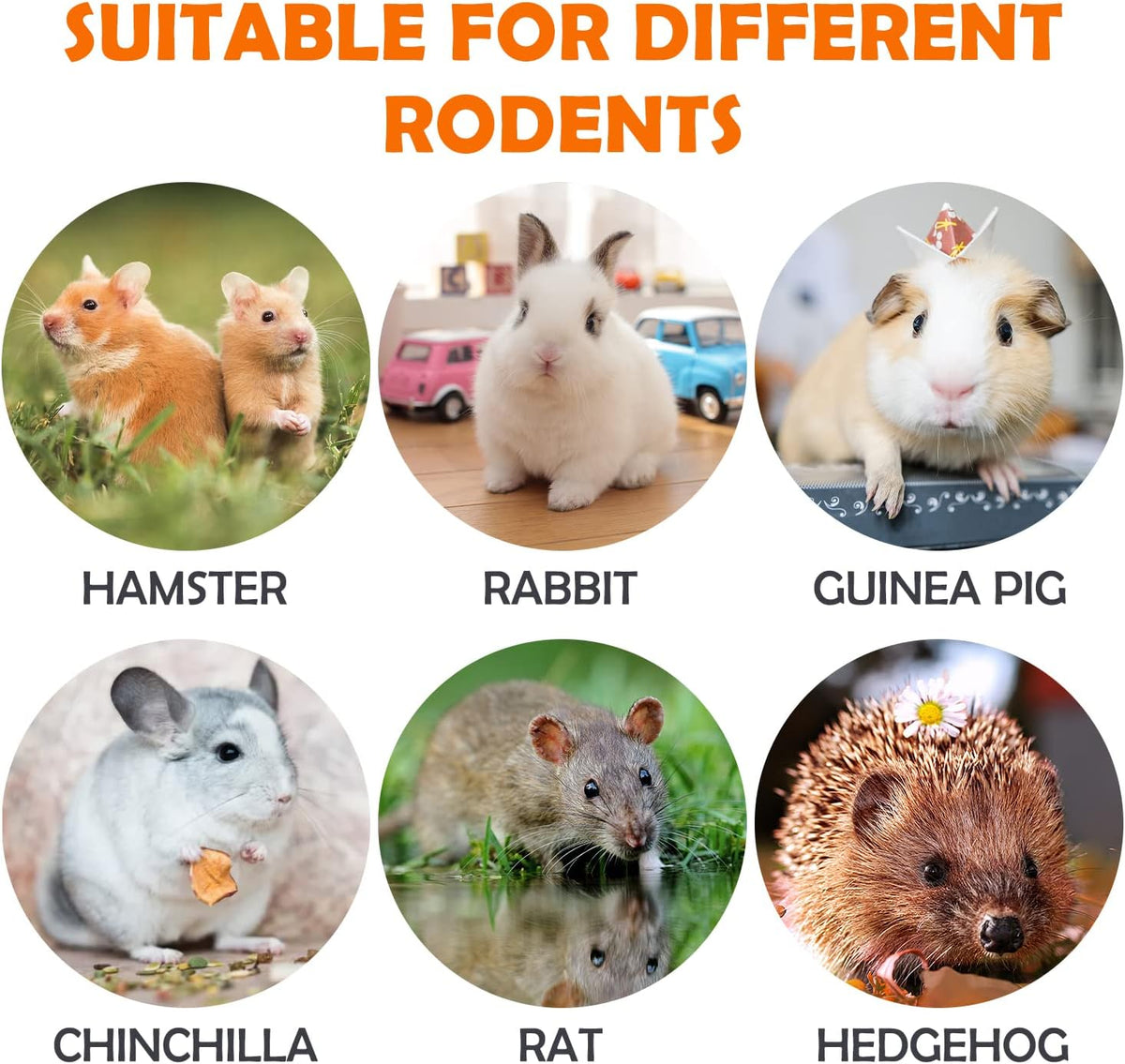 Sofier Timothy Hay Treats Rabbit Toys Bunny Toys Guinea Pig Hamster Natural Chews for Teeth