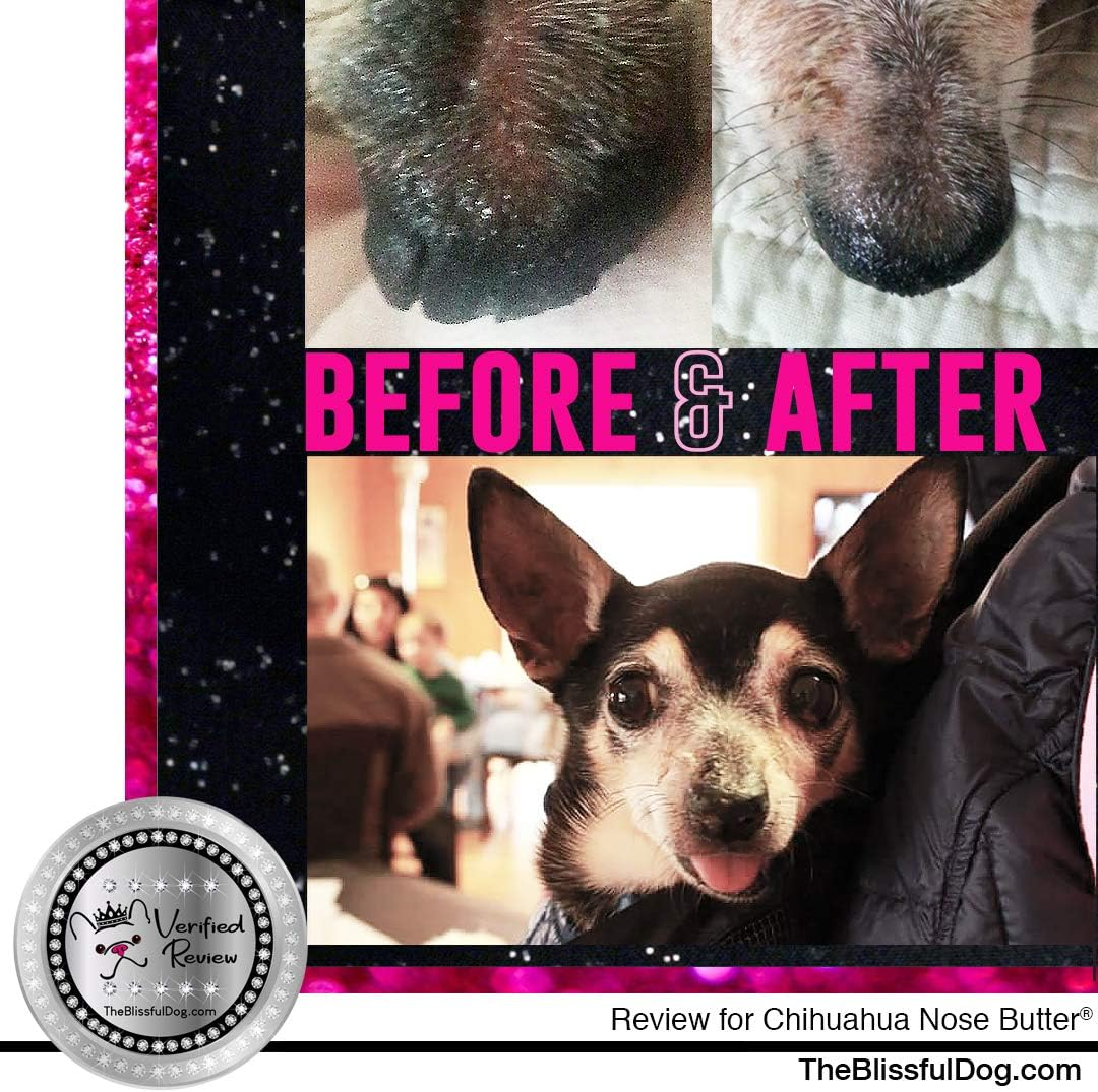 The Blissful Dog Long Coat Chihuahua Nose Butter for Dry, Cracked Skin, Lick-Safe Dog Nose Balm