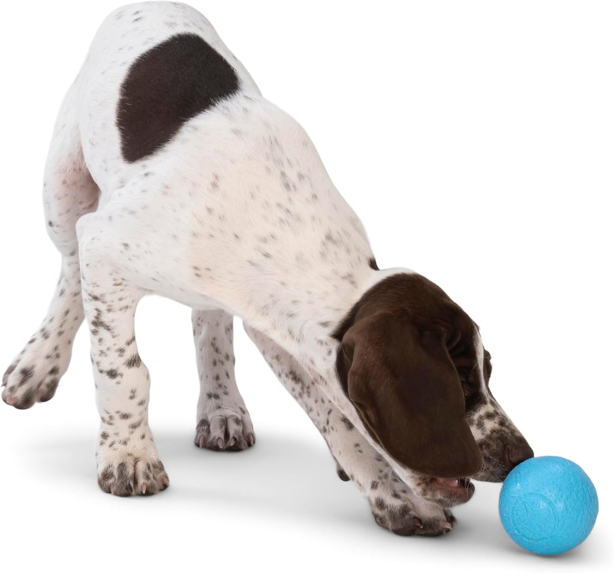 WEST PAW Boundr Ball Dog Fetch Toy – Bouncing Toys for Dogs, Fetch, Catch, Chewing, Play
