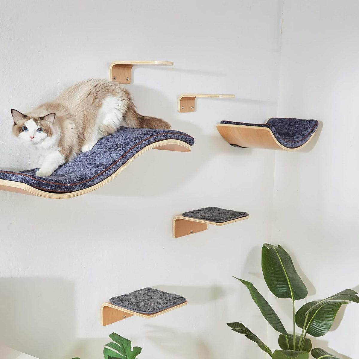 Cat Wall Shelf with Two Steps - Curved Cat Shelves and Perches for Wall (Large Size) - Wall Mounted