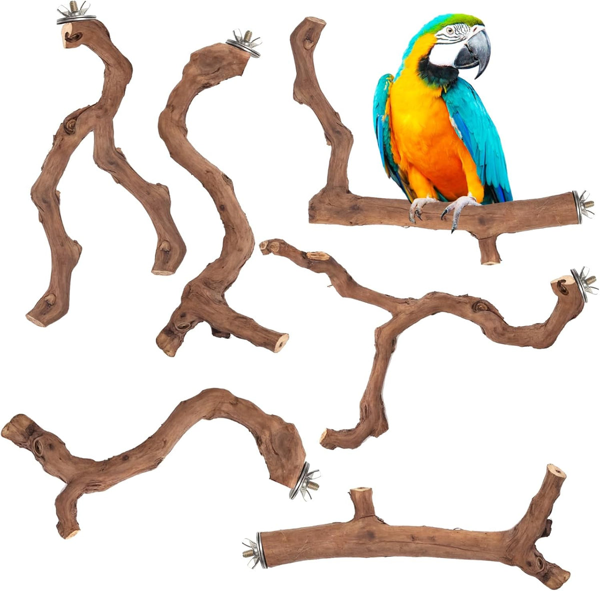 6-Piece Premium Bird Perch Stand with Natural Grape Wood Branch, Paw Grinding Fork, Chewing Stick