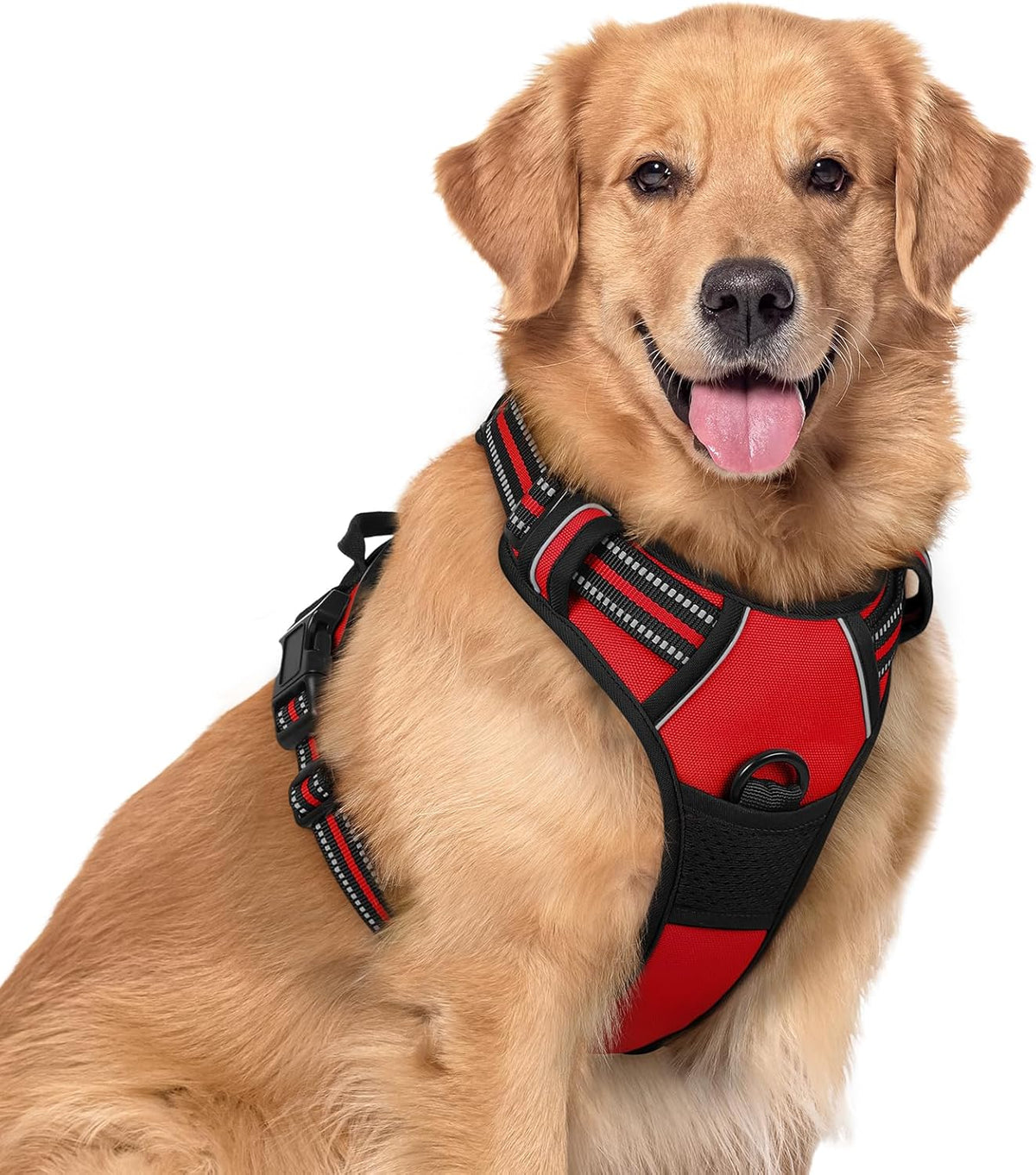 rabbitgoo Dog Harness No Pull with 2 Leash Clips, Adjustable Soft Padded, Reflective Oxford No