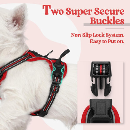 rabbitgoo Dog Harness No Pull with 2 Leash Clips, Adjustable Soft Padded, Reflective Oxford No