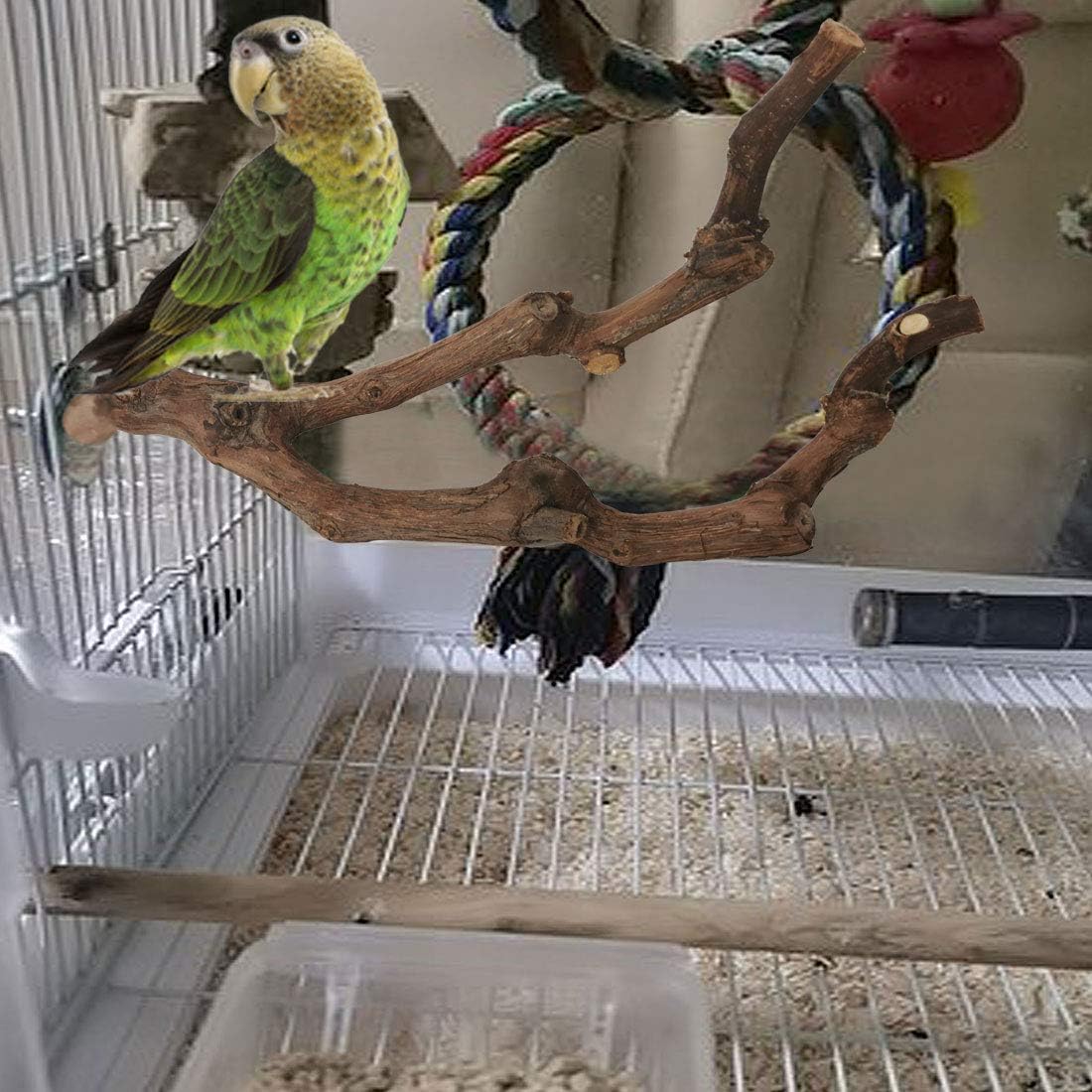 PINVNBY Natural Parrot Perch Bird Stand Pole Wild Grape Stick Paw Grinding Fork Parakeet Climbing