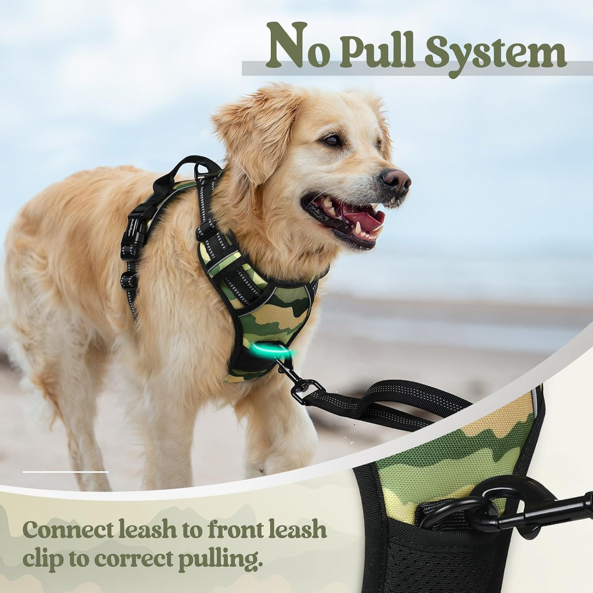 rabbitgoo Dog Harness No Pull with 2 Leash Clips, Adjustable Soft Padded, Reflective Oxford No