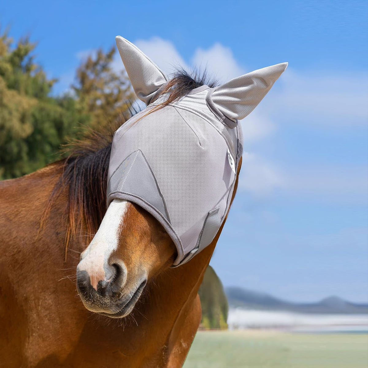 Horse Fly Mask, Adjustable Fly Masks for Horses with Ears, UV Protection from Insect Pests Comfort