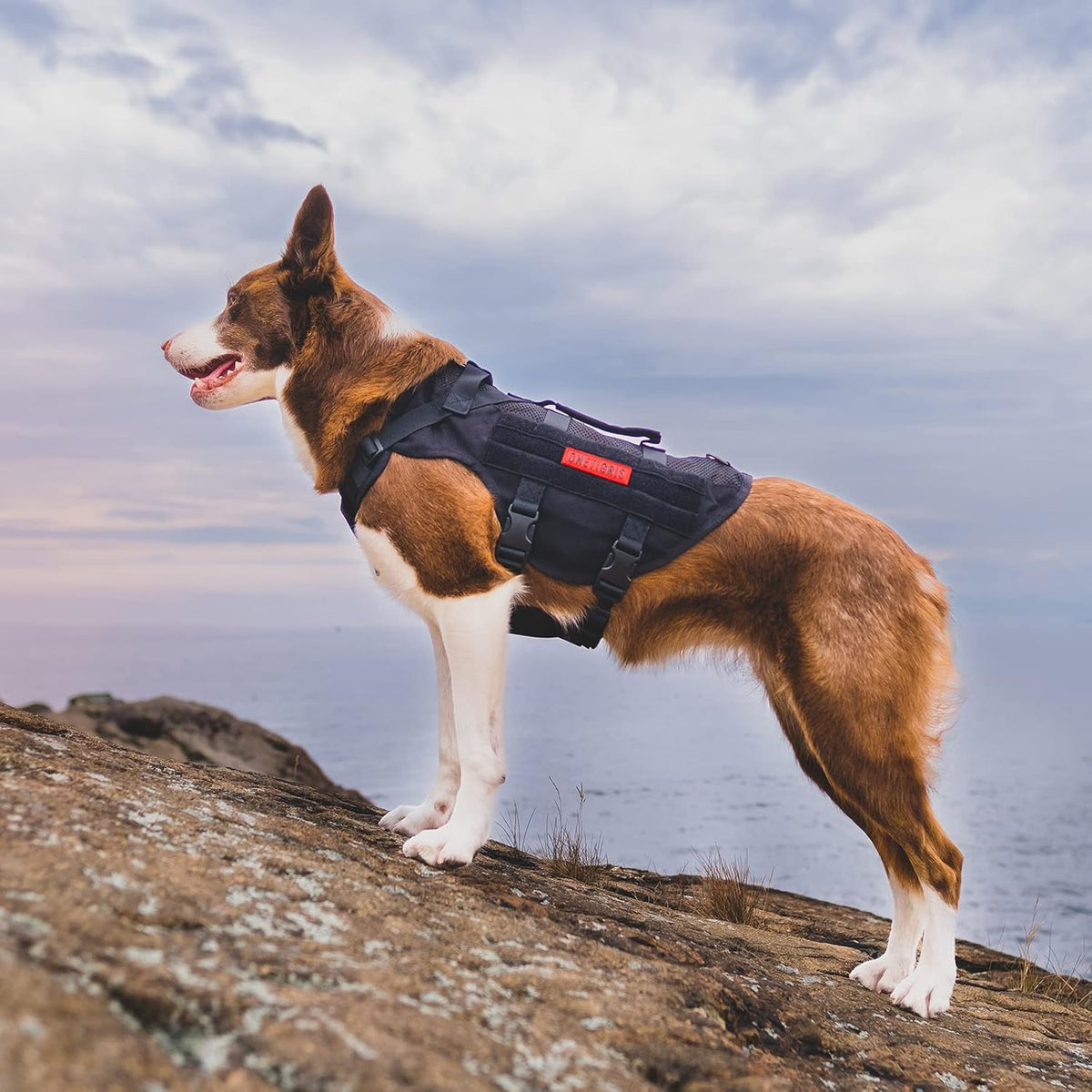 OneTigris No Pull Tactical Dog Harness for Medium Dog, Aire Mesh Dog Vest Harness, Breathable