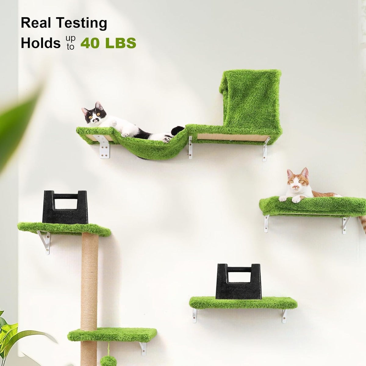 FUKUMARU Cat Wall Shelves, Stable & Safe 4 in 1 Cat Furniture Set, Wooden Climbing Wall with