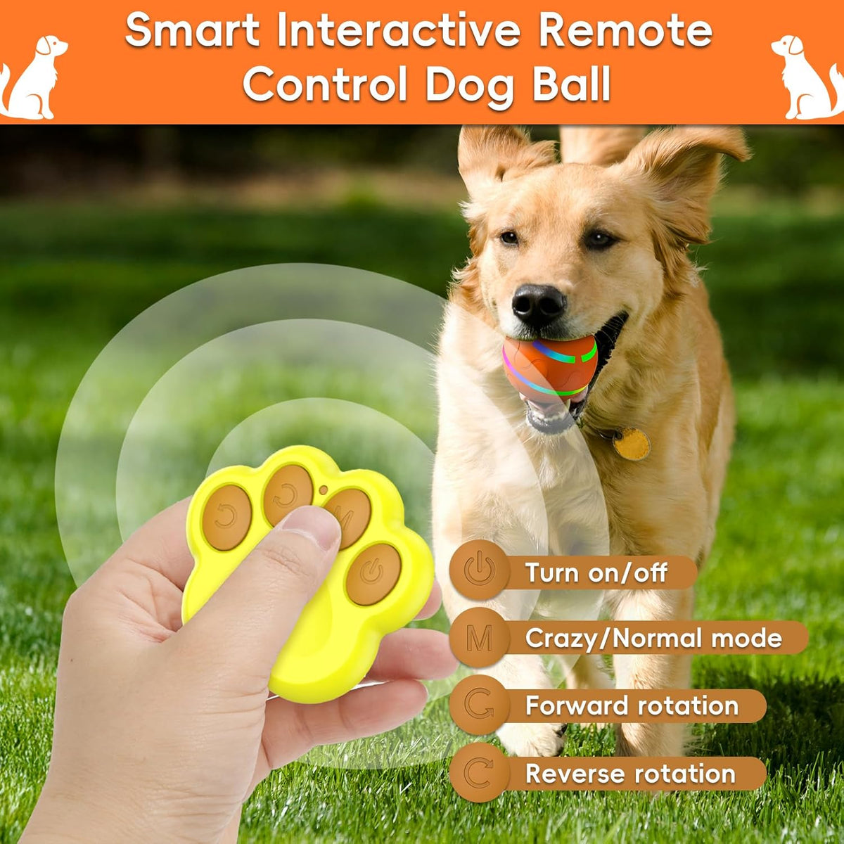 Smart Interactive Dog Ball, Interactive Dog Toys with Remote Control, Automatic Moving Pet Ball for