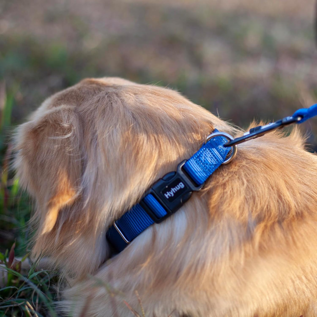 Hyhug Dog Collar for Large Dogs, Heavy Duty, Blue | Quick Release Nylon Buckle Collar, Adjustable &