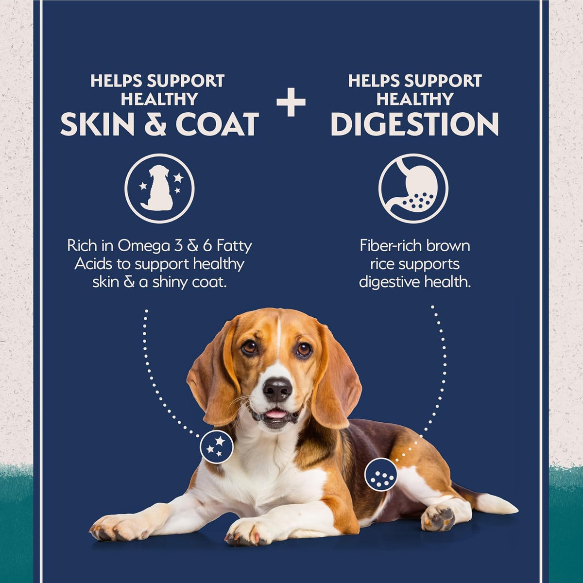 Natural Balance Limited Ingredient Adult Dry Dog Food with Healthy Grains, Chicken & Brown Rice