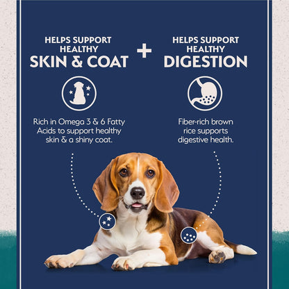 Natural Balance Limited Ingredient Adult Dry Dog Food with Healthy Grains, Chicken & Brown Rice