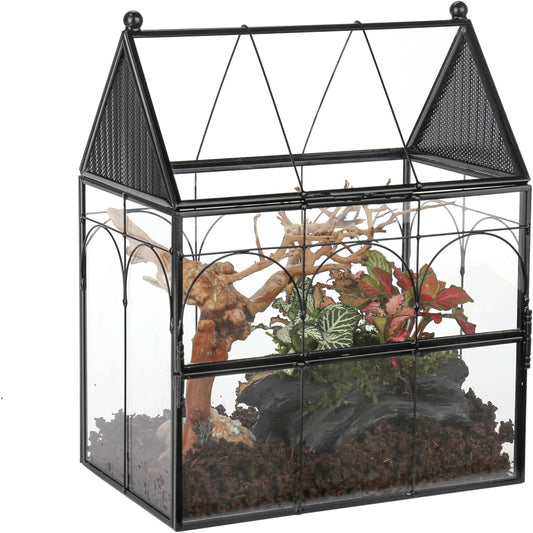 NCYP Glass Enclosure with Vent Holes for Insect, Jumping Spiders, Snails - 7.5" x 4.9" x 9" Small