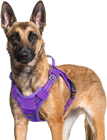 rabbitgoo Dog Harness for Large Dogs No Pull, Tactical Service Pet Vest with Molle and Control