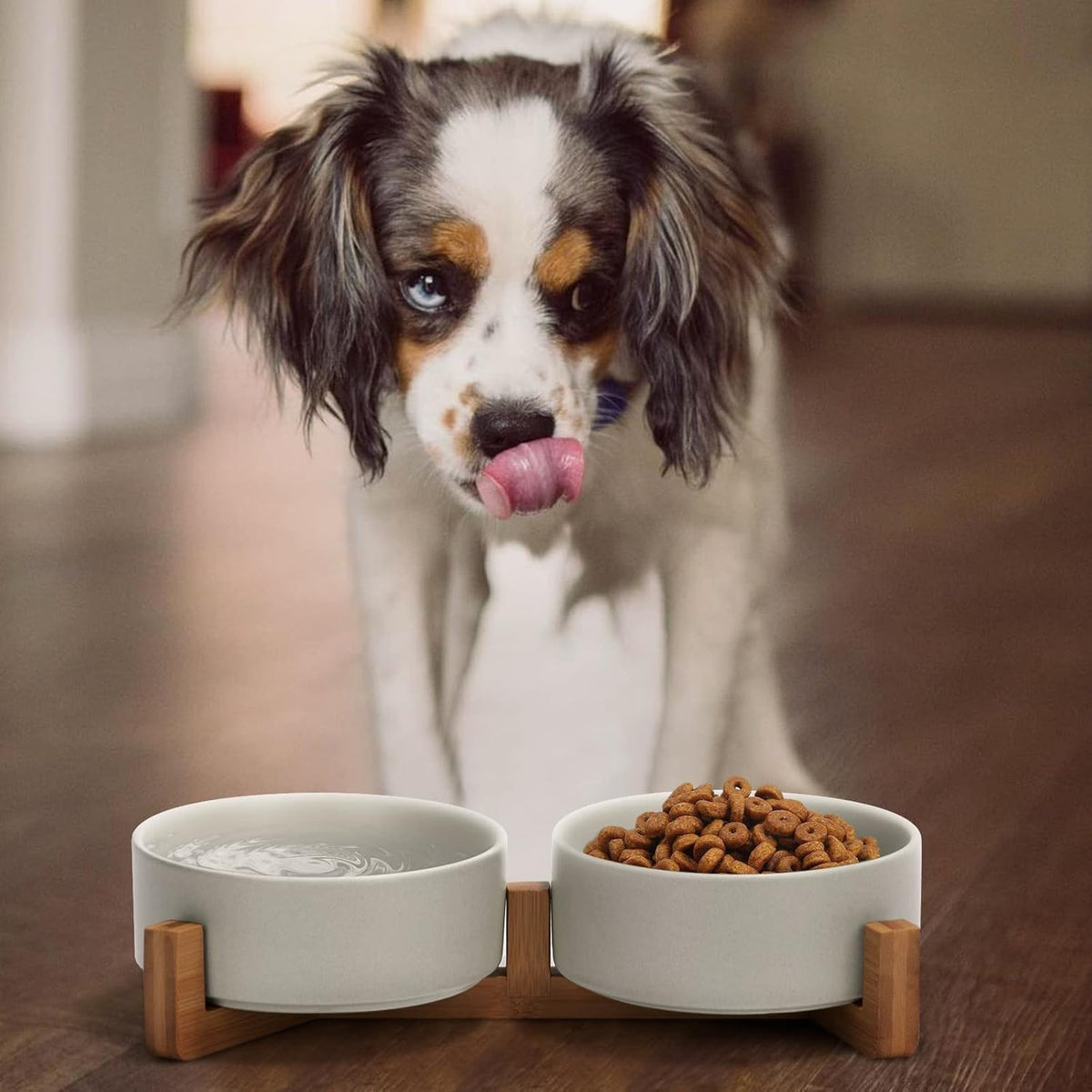 SPUNKYJUNKY Ceramic Dog and Cat Bowl with Wood Stand Non-Slip Matte Glaze Weighted Food Water Set