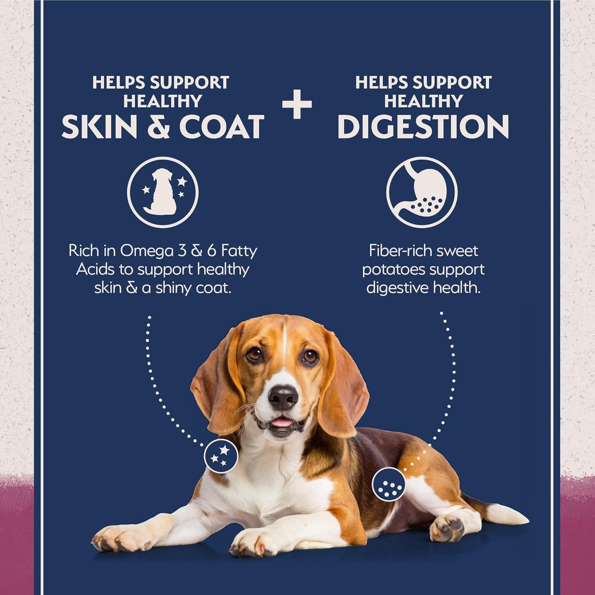 Natural Balance Limited Ingredient Adult Grain-Free Dry Dog Food, Reserve Sweet Potato & Venison