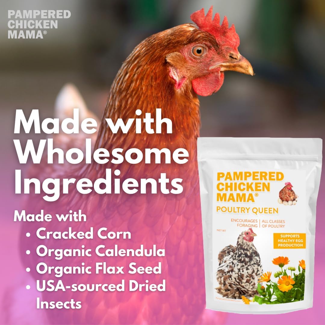 Pampered Chicken Mama Non-GMO Mealworm, Corn, Flax, & Herb Treat (10 Pounds) for Backyard Chickens
