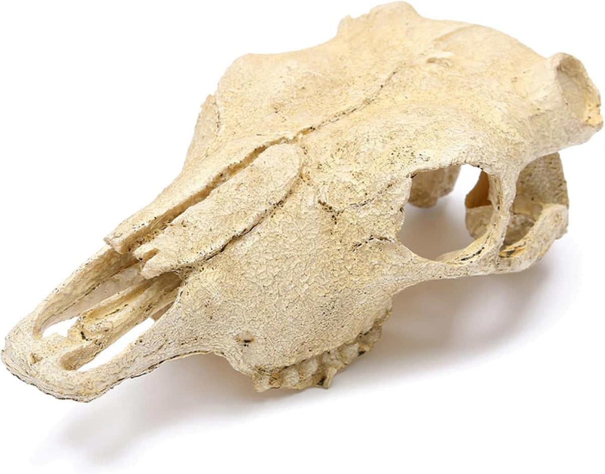 Aquarium Skull Décor Fish Hideout Cave Decorations Betta Tarantula Reptile Snake for Terrarium