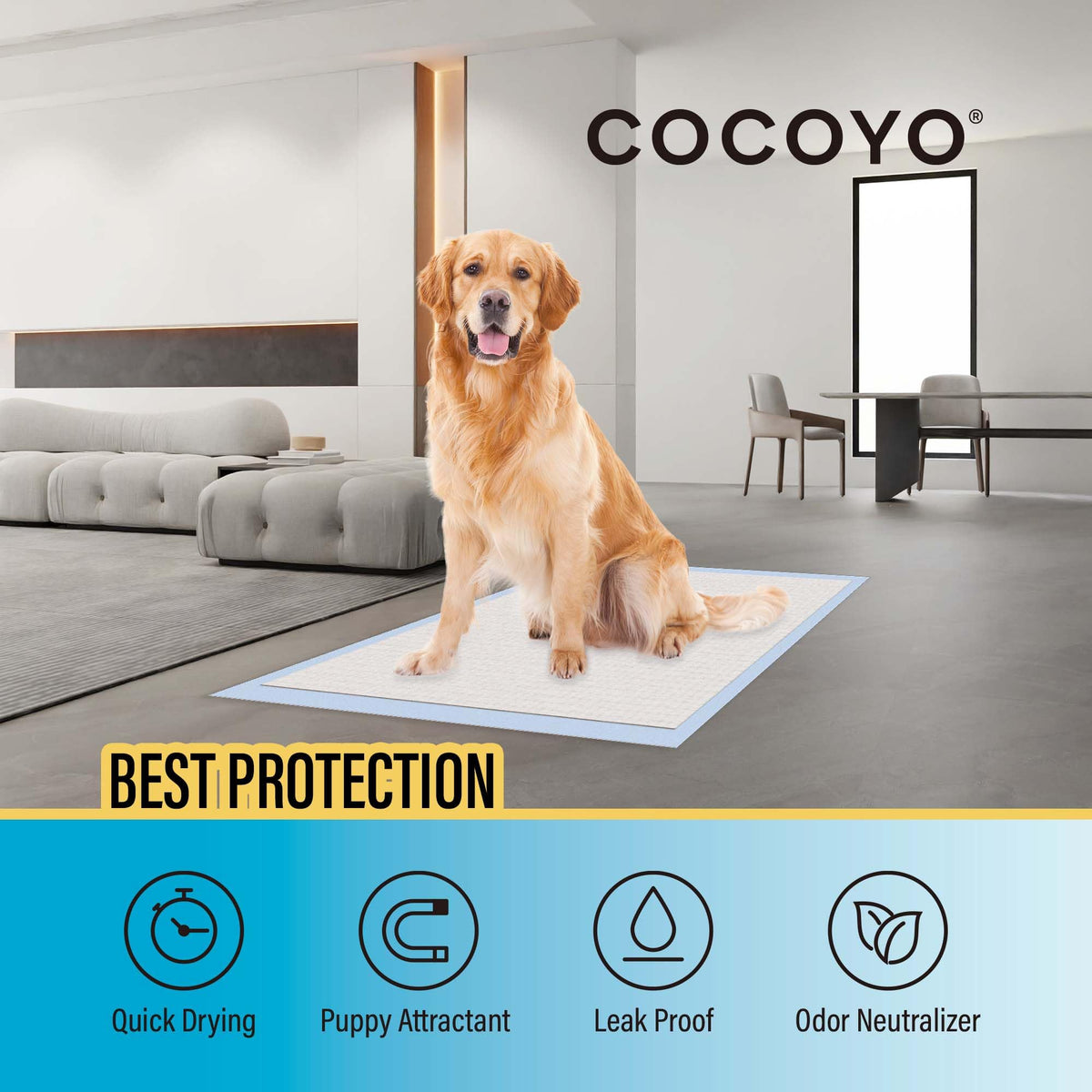 COCOYO Best Value Training Pads. Chosen for real quality, fits naturally into modern pet homes.