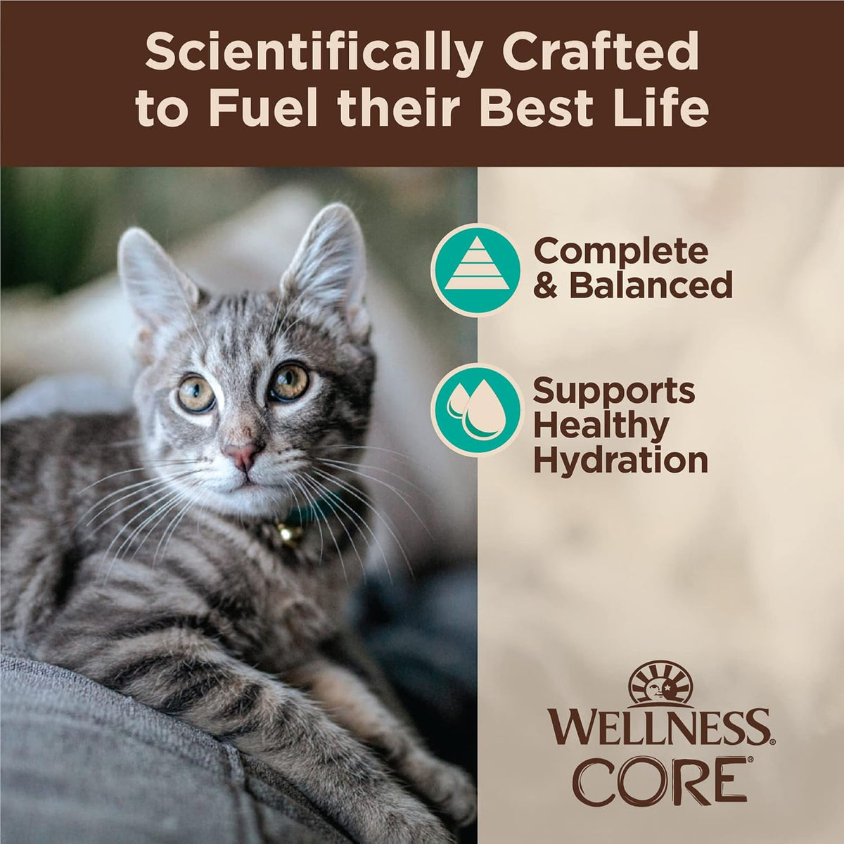Wellness CORE Tiny Tasters Flaked Adult Wet Cat Food, Natural, Protein-Rich, Grain Free, 1.75-Ounce