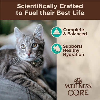Wellness CORE Tiny Tasters Flaked Adult Wet Cat Food, Natural, Protein-Rich, Grain Free, 1.75-Ounce