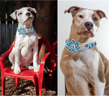 Unique style paws Thanksgiving Dog Collar with Flower Tie Autumn Turkey Theme Puppy Collar for